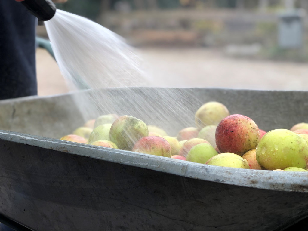 Äpfel waschen