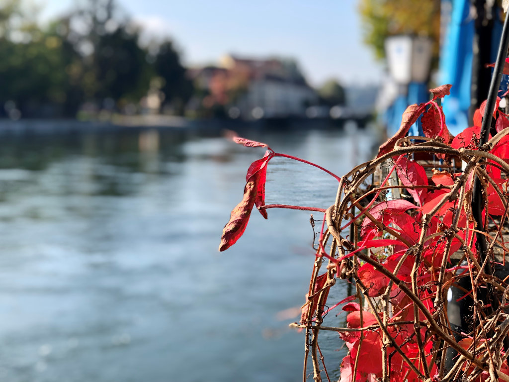 Herbstferien