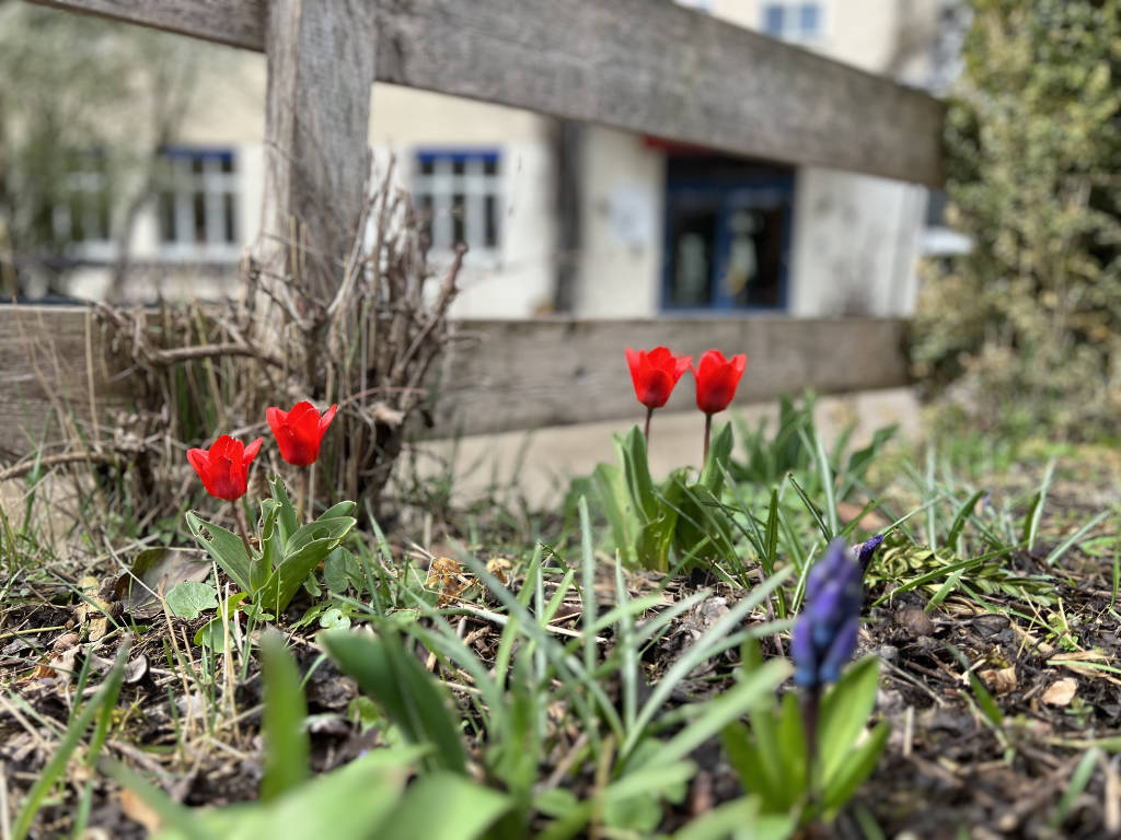 Frohe Ostern!