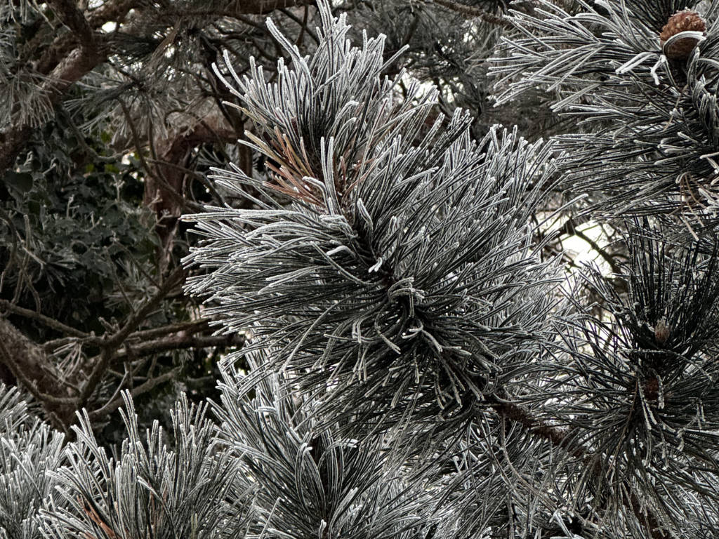Präsenzunterricht entfällt am 17. Januar