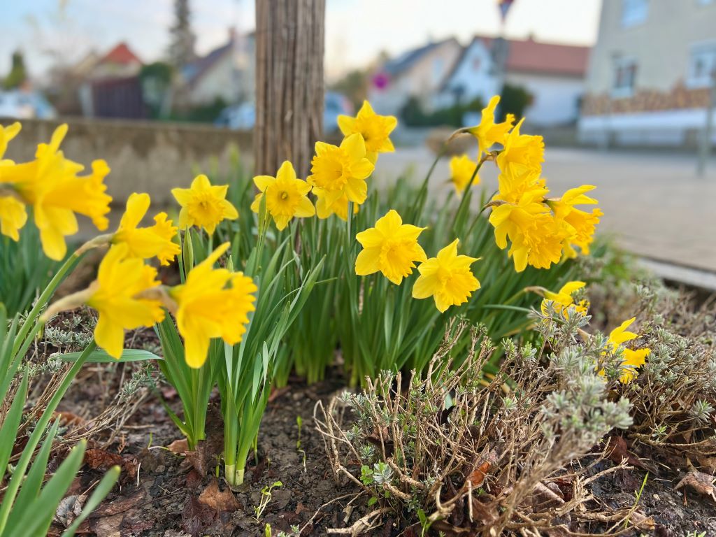 Osterferien!