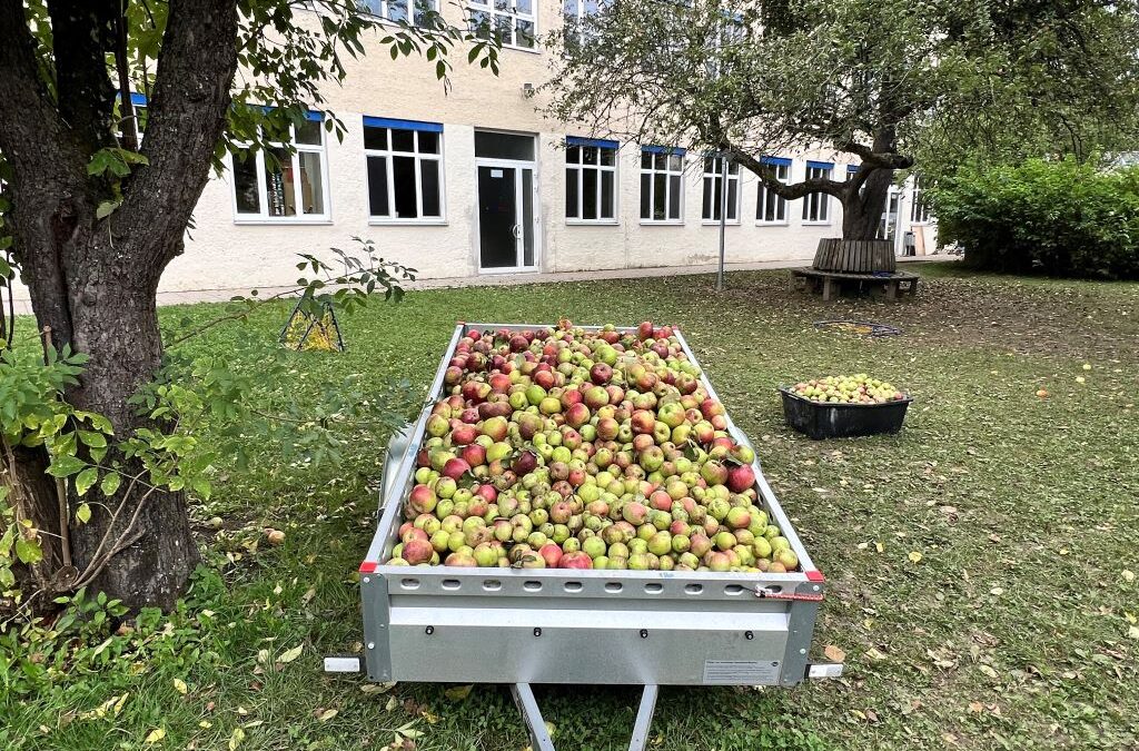 Anhänger mit Äpfeln