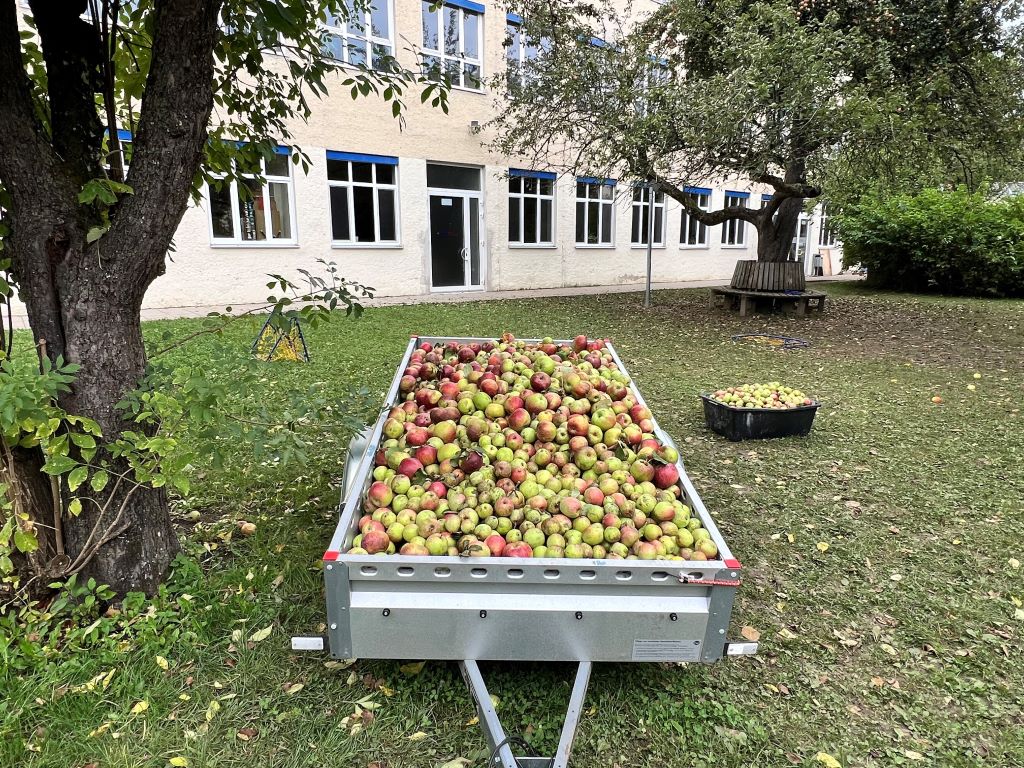 Anhänger mit Äpfeln