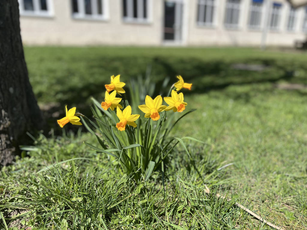 Frohe Ostern!