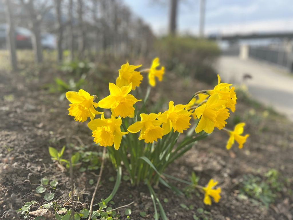Frohe Ostern!